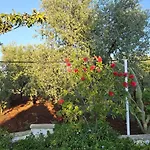 Trullo Septis *
